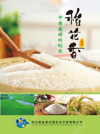 稻米海报