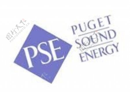 PSE12