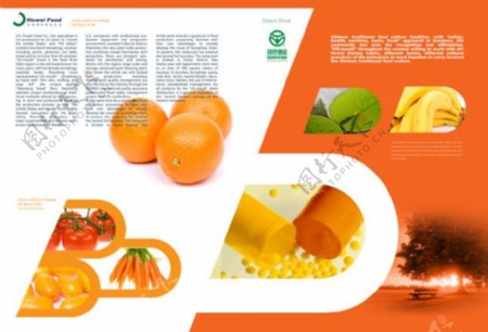 绿色食品宣传画册PSD素材
