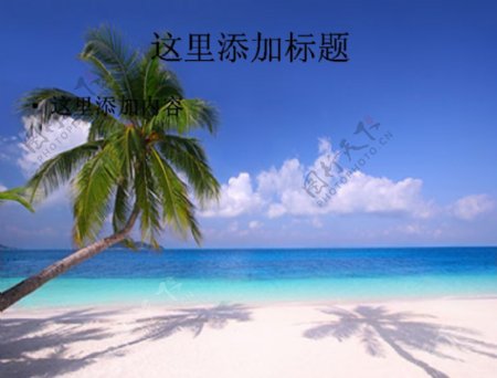 海边沙滩椰子树PPT模板范文素材风景PPT模板范文