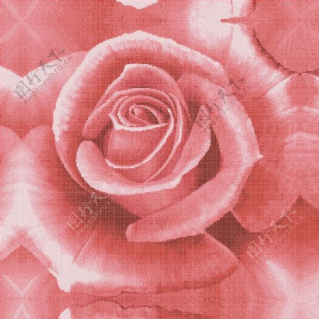 玫瑰花拼图图片