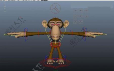 大嘴猴模型