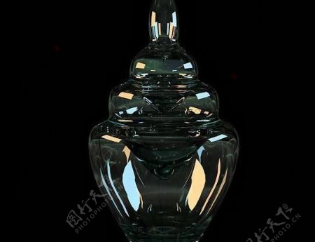 玻璃花瓶vases11