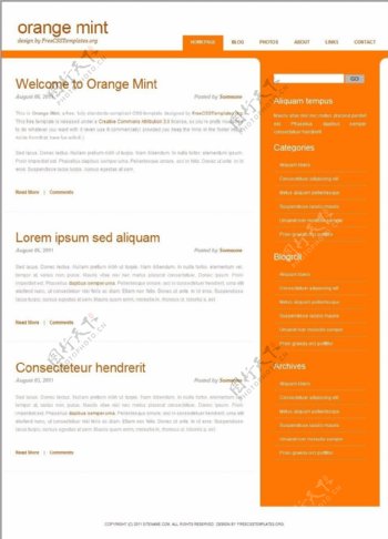 柳橙薄荷信息网页模板