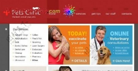 宠物医院网站模板