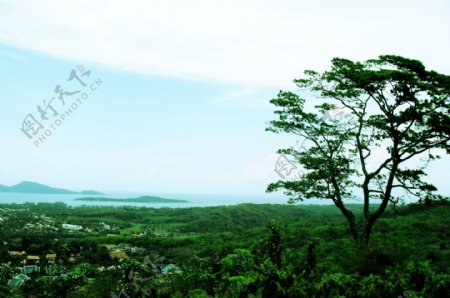 泰国普吉岛山坡上图片