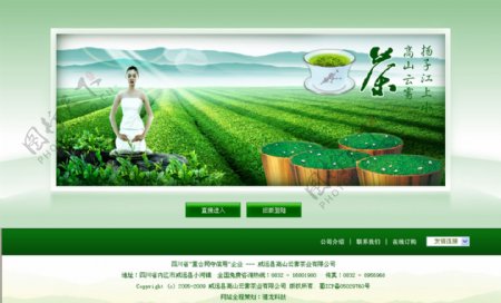 茶业公司引导首页网页模板