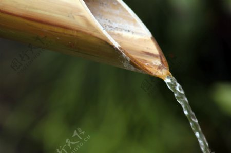 水流水竹竹筒图片