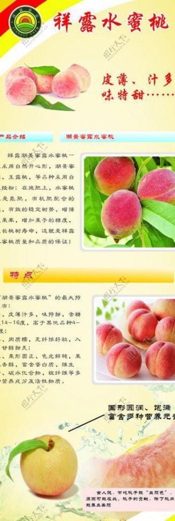 水蜜桃x展架图片