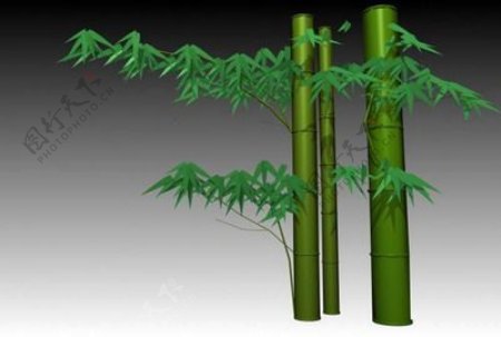 植物竹子装饰素材3d模型下载家居素材免费下载7