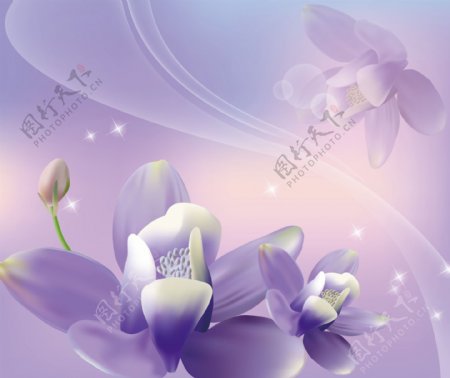 紫色淡雅花朵移门图案