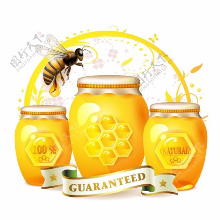 矢量素材蜂蜜罐上的蜜蜂