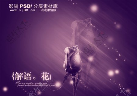 PSD分层源文件浪漫柔情版紫色紫玫瑰星光
