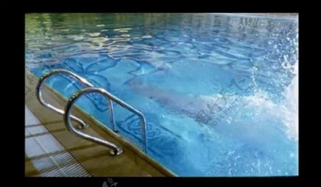 室内游泳池视频素材图片