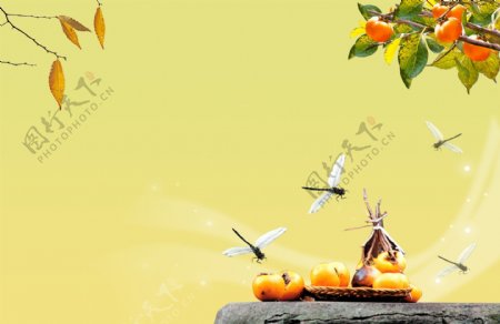 psd源文件相框模板ps素材秋天色彩蜻蜓柿子
