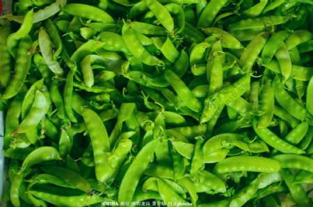 蔬菜豌豆荷兰豆图片