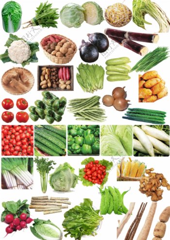 蔬菜分层图图片