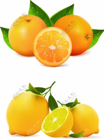 矢量橙子柠檬