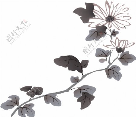AI矢量图多款植物花黑白矢量花纹边框鸟类蝴蝶花朵树叶水墨