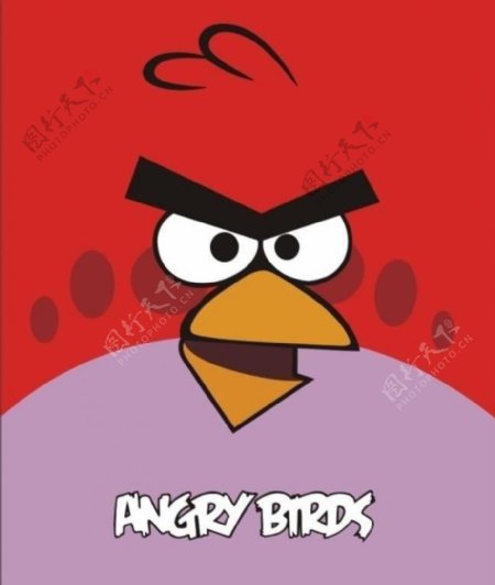 愤怒的小鸟小红鸟图片