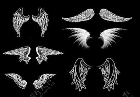 6种天使羽翼笔刷图片
