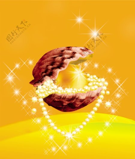 贝壳珠宝图片