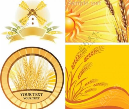 麦穗风车小麦标签图片