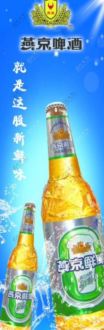 燕京啤酒展架图片