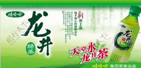 龙井绿茶图片