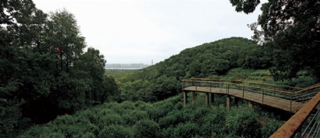 江洋畈生态公园图片