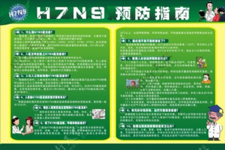 H7N9禽流感广告设计模板