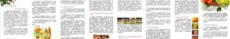 中国居民膳食指南系列内容图片