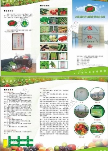 蔬菜合作社彩页图片