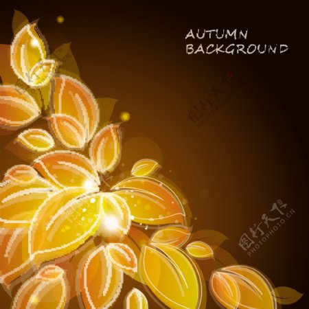 金色的秋天的树叶矢量背景