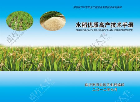水稻画册图片
