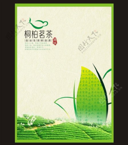 绿茶包装海报矢量展开图片
