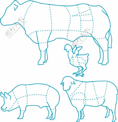 的猪羊鸡食用牛分布