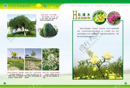 园林绿化书刊彩页
