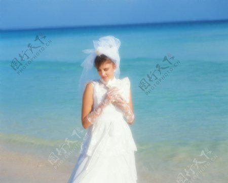 海滩新娘图片
