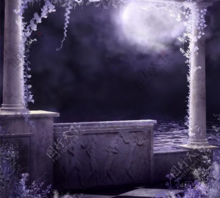 神秘的月光花园背景