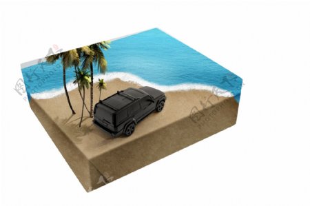 箱子上的大海椰树和汽车