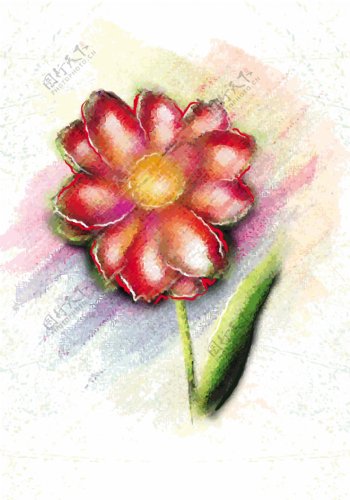 水彩花卉背景矢量插画