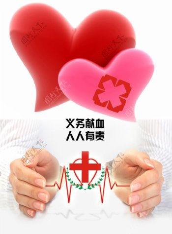 红十字义务献血海报