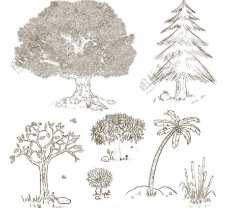 手绘树木设计矢量素材
