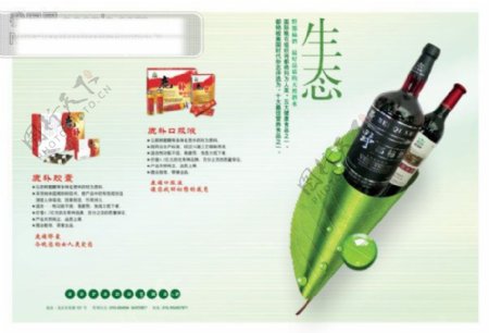 生态食品企业画册酒叶子版式设计PSD格式300DPI