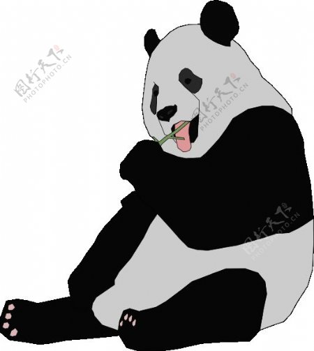 熊猫的剪辑艺术