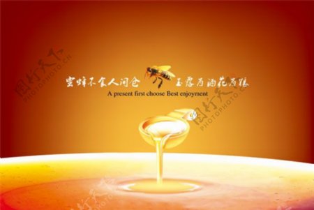 蜂产品广告素材免费下载