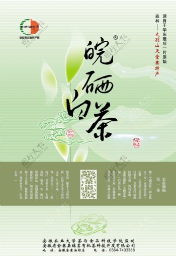 皖硒白茶PSD宣传海报设计