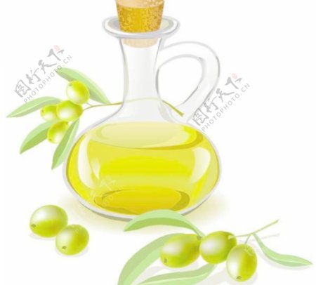 橄榄油瓶向量