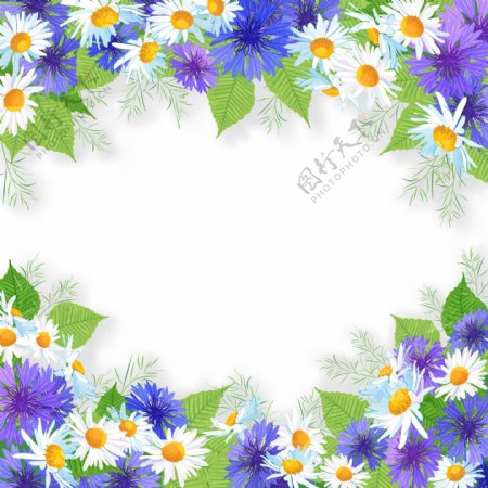 白色与紫色菊花边框设计